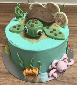 Turtle Cake Class